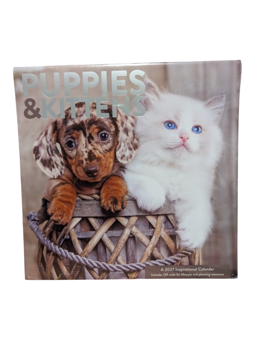 Puppies & Kittens 2027 Inspirational Calendar